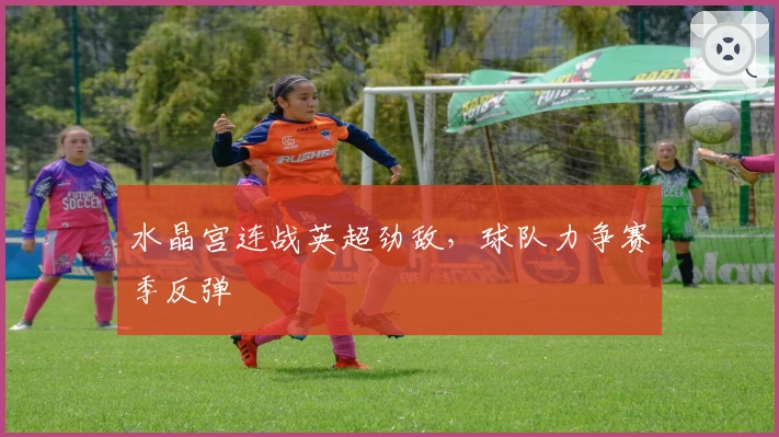 水晶宫连战英超劲敌，球队力争赛季反弹