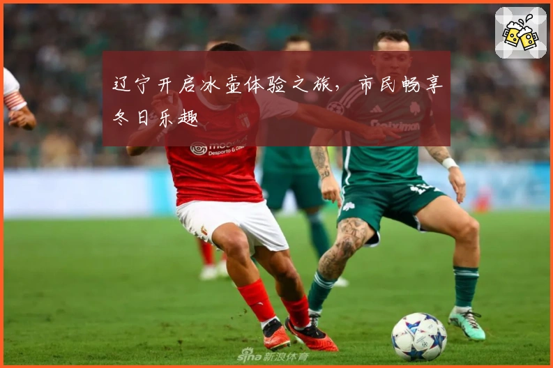 辽宁开启冰壶体验之旅，市民畅享冬日乐趣