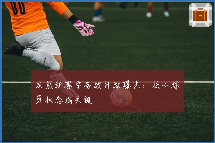 灰熊新赛季备战计划曝光，核心球员状态成关键